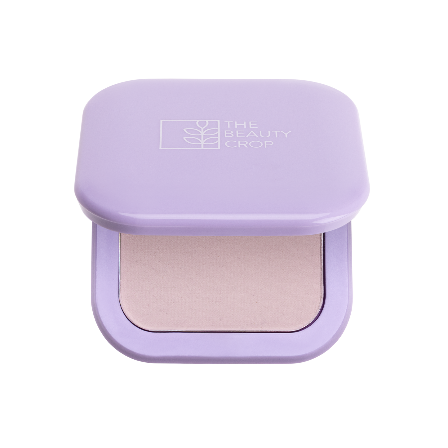 Porefilter Blotting Powder