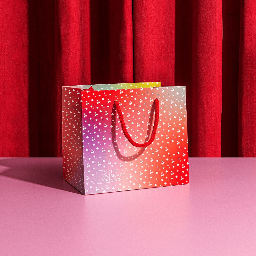 Paper Gift Bag