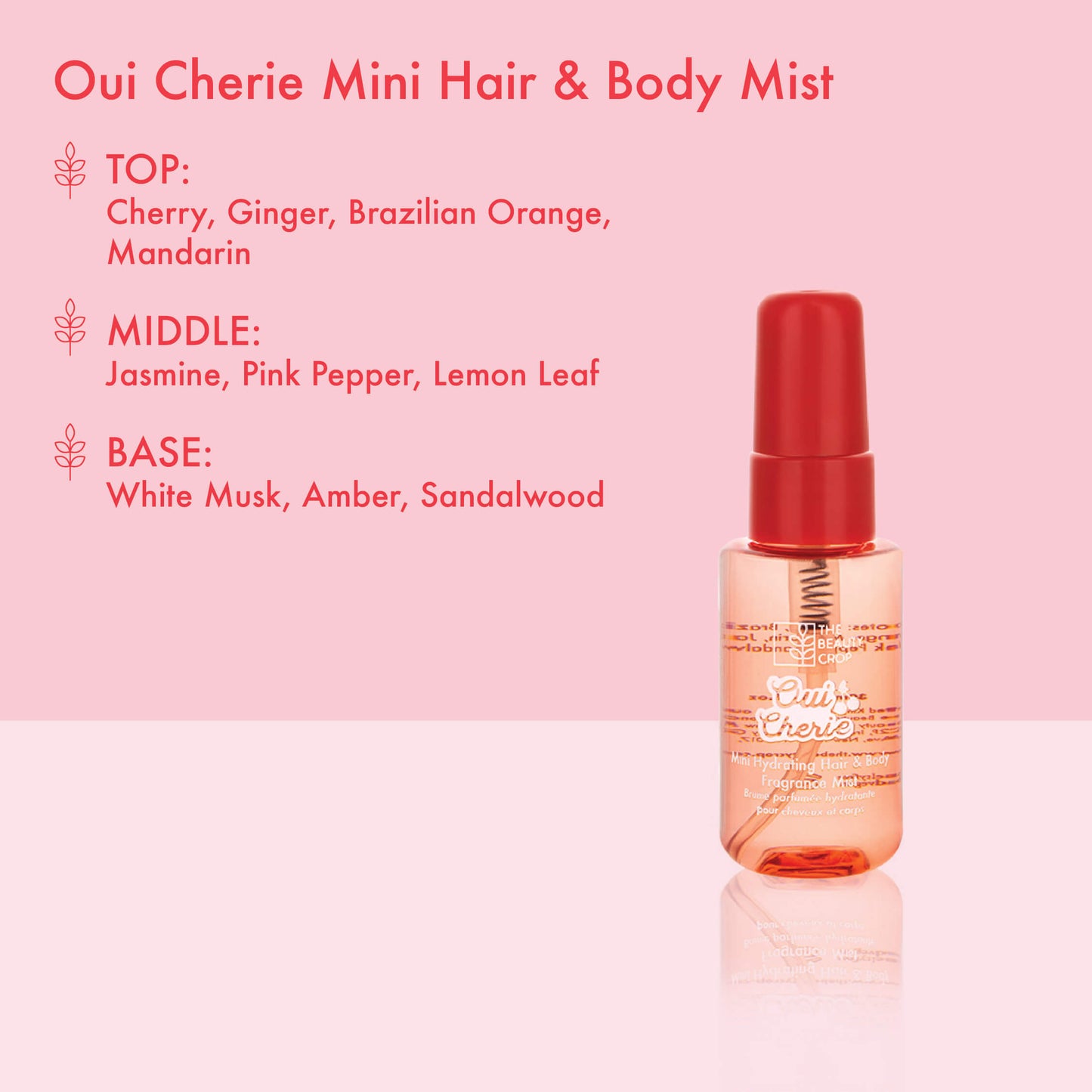 Wellness Bundle